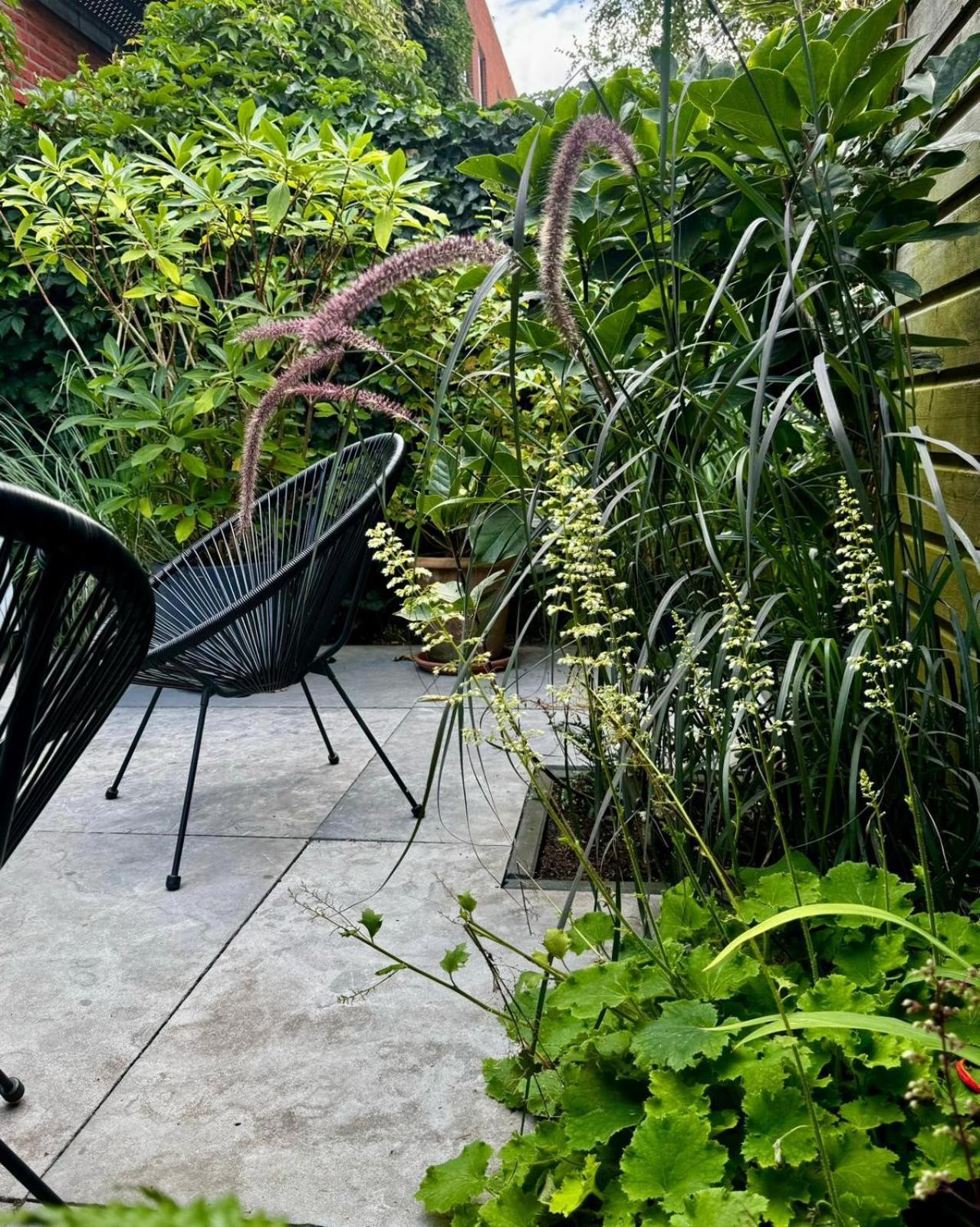 B&B Urban Oasis Amsterdam Eksteriør billede